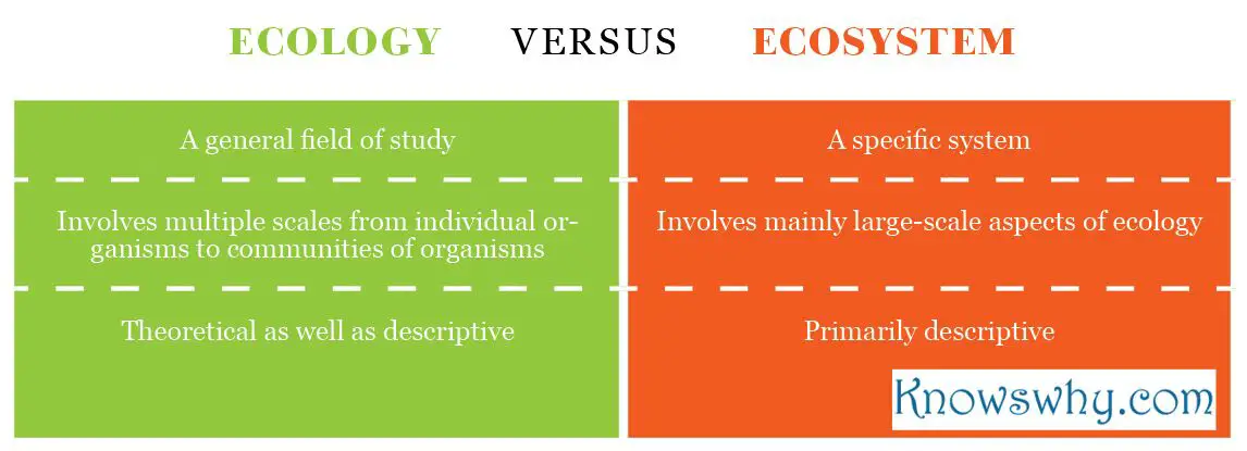 Ecology VERSUS Ecosystem
