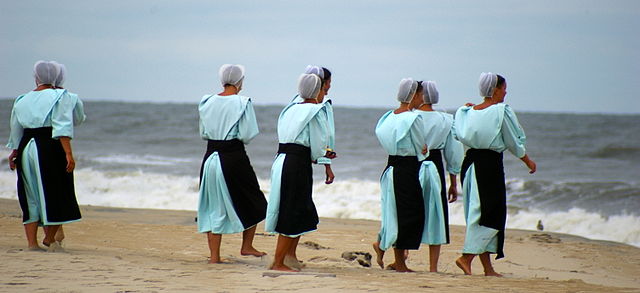 Why Do Amish Women Wear Bonnets?