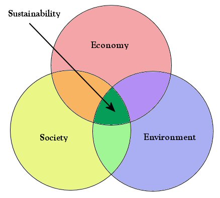 Why is sustainability important?