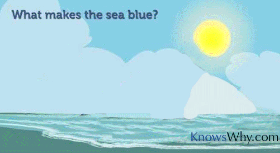 Why Is The Ocean Blue?
