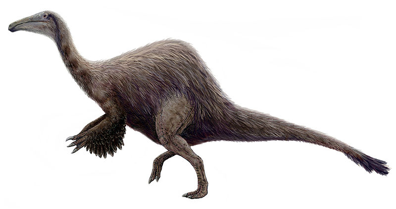 5 Bizarre Dinosaurs You Didn't Know Existed