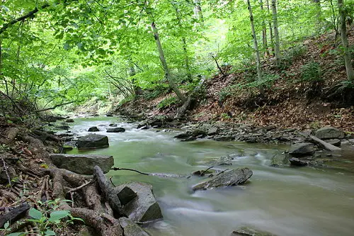 Difference between a creek, a river and a stream