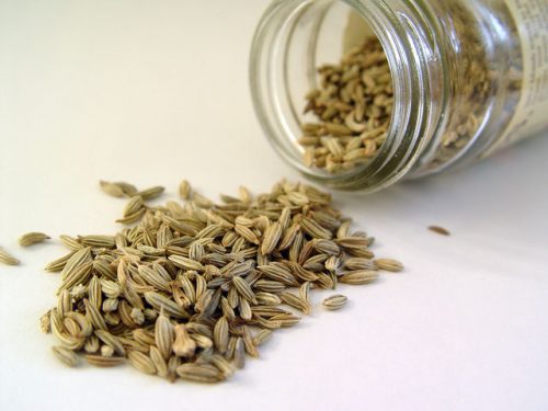 Difference between cumin and fennel-1