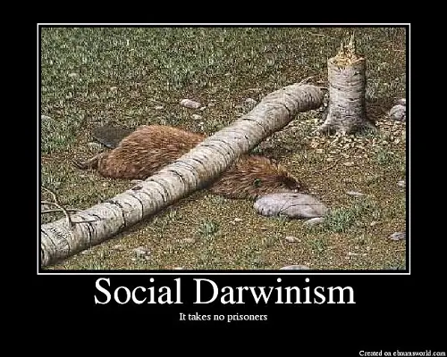 Similarities in Darwinism and Social Darwinism-1