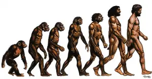 Similarities in Darwinism and Social Darwinism
