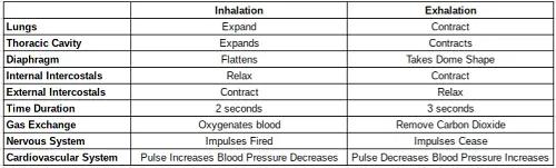 Difference between Inhalation and Exhalation-1