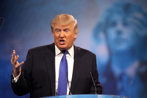 Fascinating Facts You Need to Know about Donald Trump