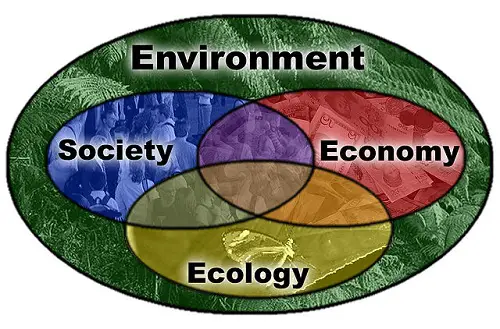 Difference Between Ecology and Ecosystem
