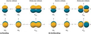 Difference Between Atomic Orbital and Molecular Orbital