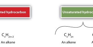 Difference between Saturated and Unsaturated Hydrocarbons