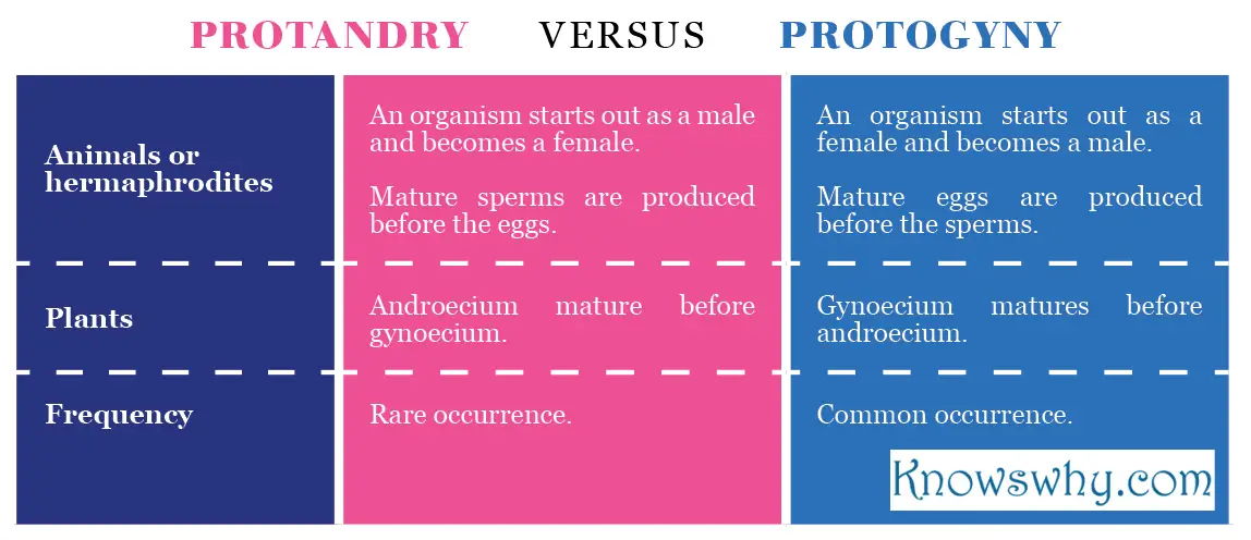 Protandry VERSUS Protogyny