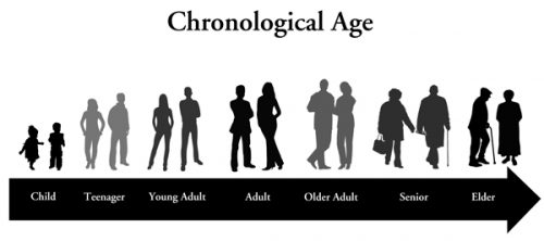 What is Mental Age and Chronological Age?