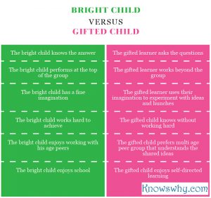 Bright Child VERSUS gifted Child