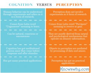 Cognition VERSUS Perception