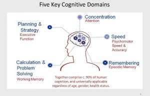 Difference Between Cognition And Perception