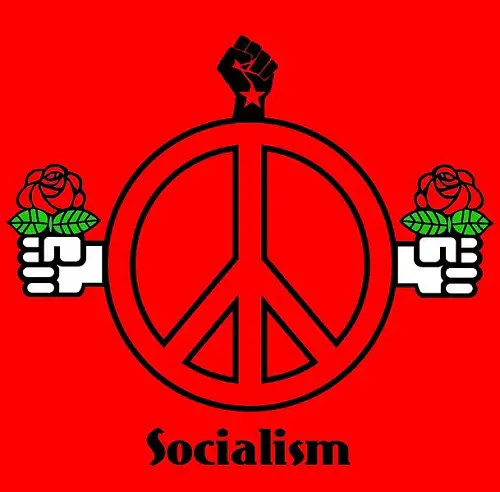Difference Between State Capitalism and Socialism-1