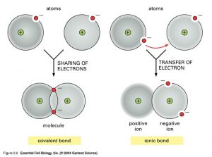 Similarities Between Ionic Bonds and Covalent Bonds
