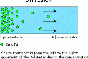 Similarities between diffusion and osmosis