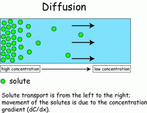 Similarities between diffusion and osmosis