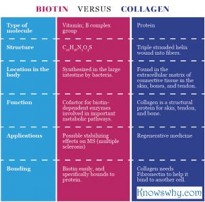 Biotin VERSUS Collagen