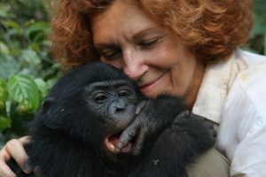 Similarities Between Humans and Chimpanzees