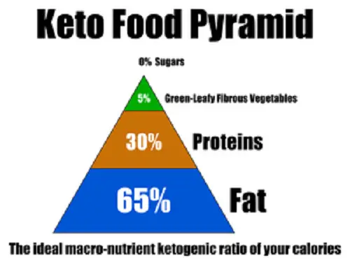 Difference between Paleo and Keto-1