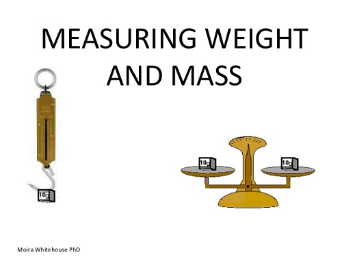 Similarities Between Weight and Mass