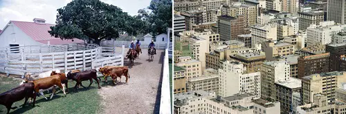 Similarities between Urban and Rural Areas