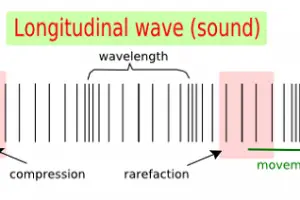 Similarities between transverse and longitudinal wave-1