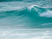 Similarities Between Sea and an Ocean