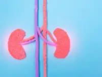Similarities Between UTIs and Kidney Infections