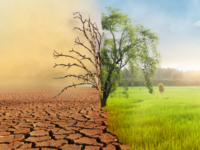 Similarities Between Weathering and Erosion