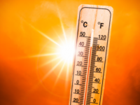 Similarities Between Heat and Temperature